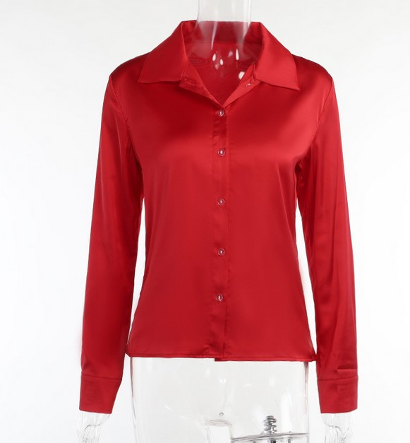 3486963912_shelkovaya-bluza-model